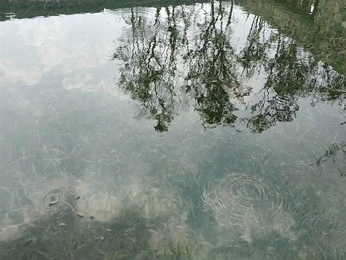 LF系列钢包精炼炉